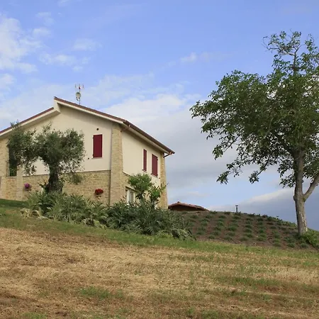 Edelia * Mondavio